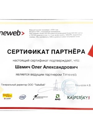 Сертификат партнера Timeweb